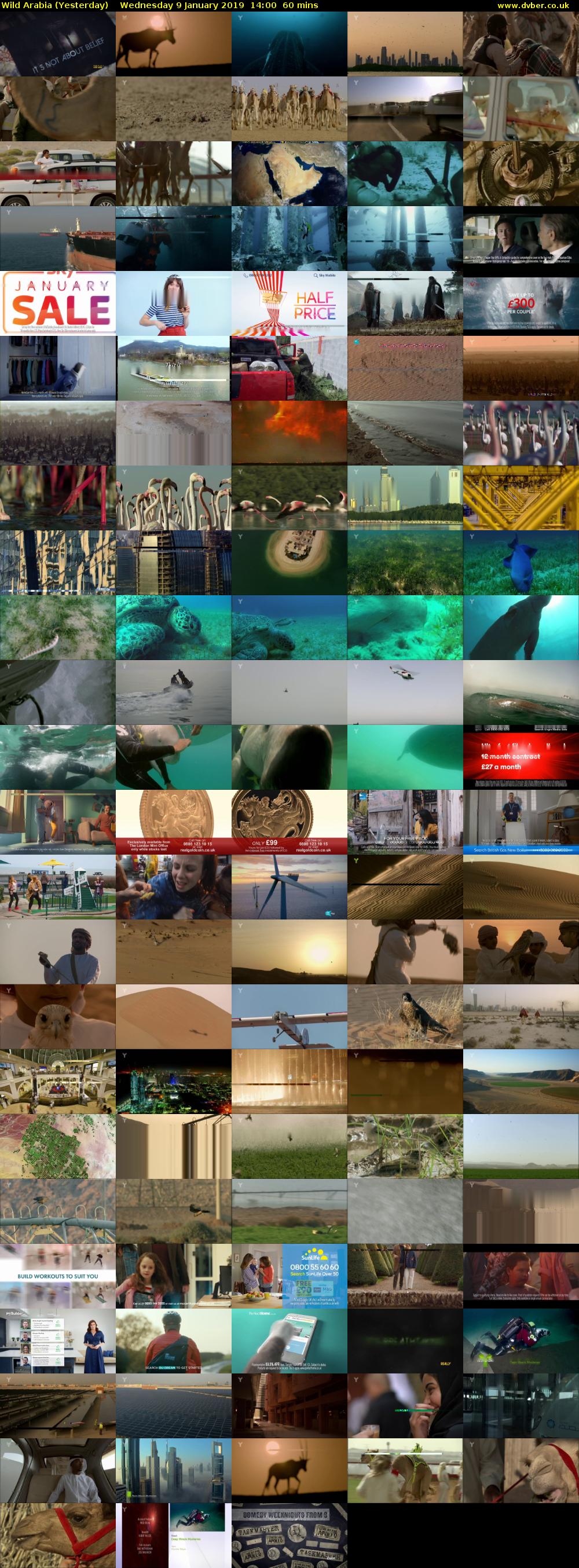 Wild Arabia (Yesterday) Wednesday 9 January 2019 14:00 - 15:00