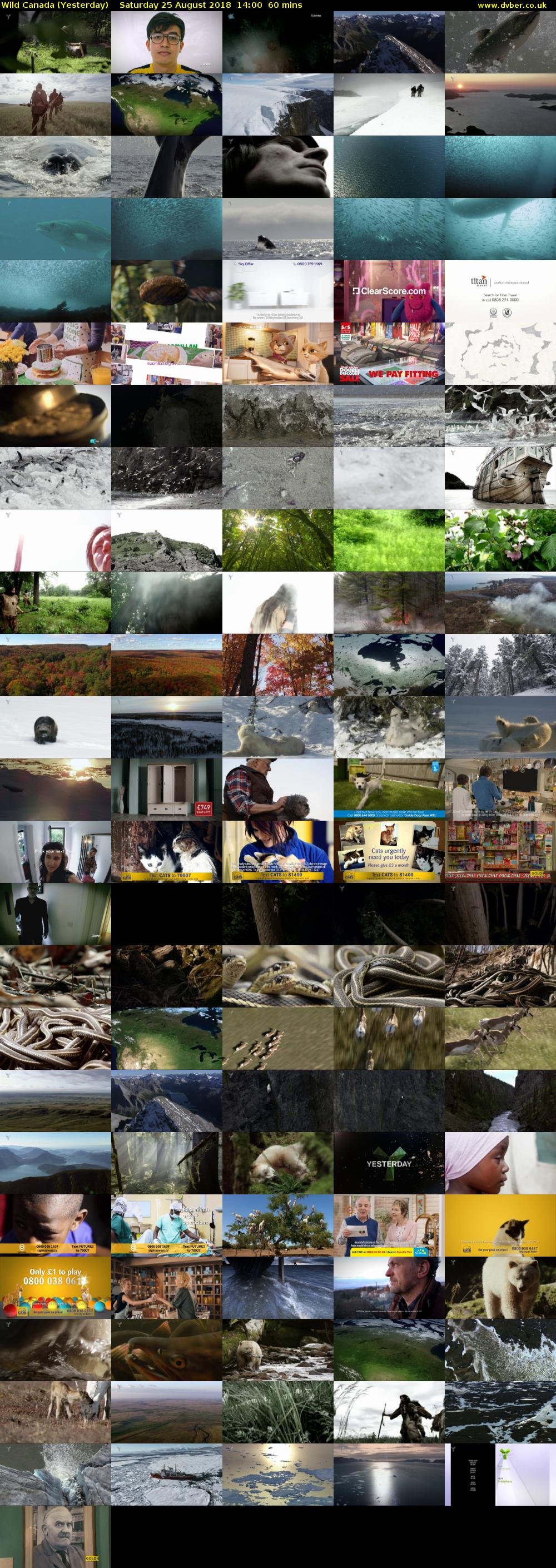 Wild Canada (Yesterday) Saturday 25 August 2018 14:00 - 15:00