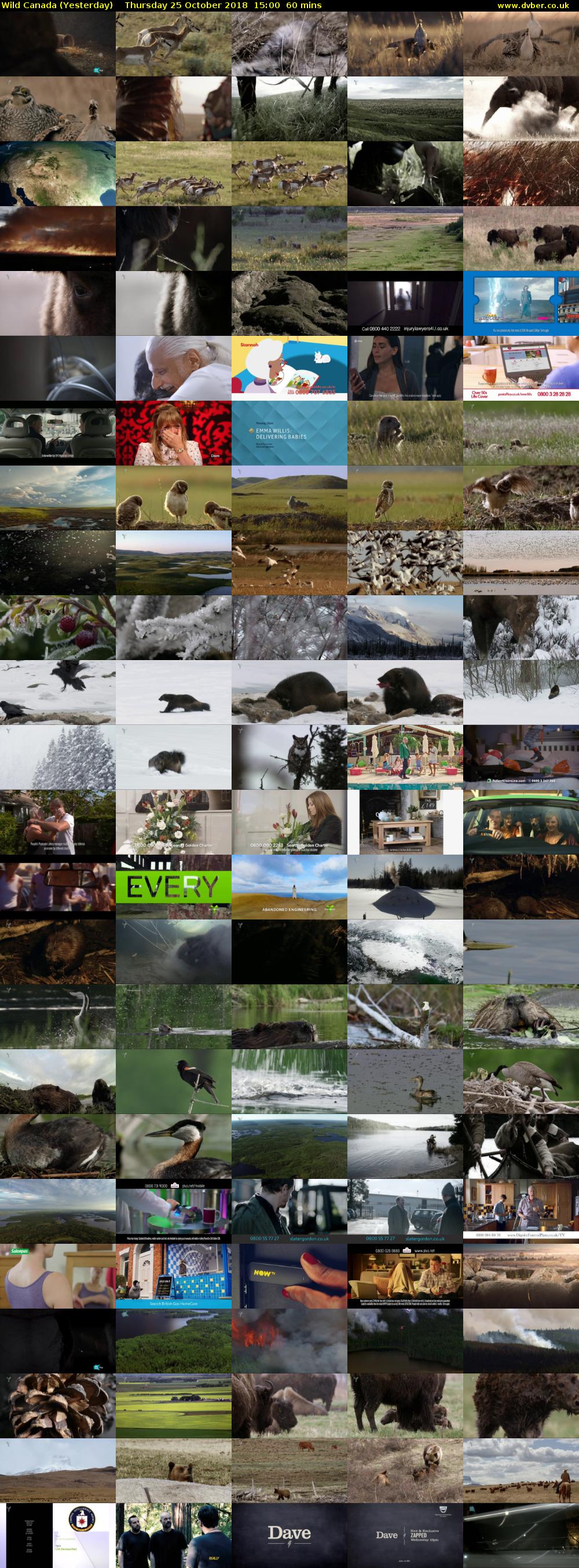 Wild Canada (Yesterday) Thursday 25 October 2018 15:00 - 16:00