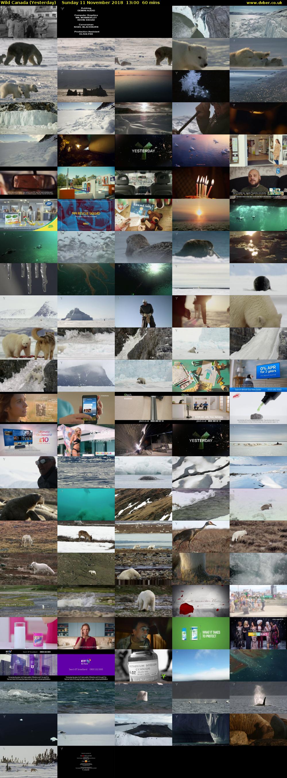 Wild Canada (Yesterday) Sunday 11 November 2018 13:00 - 14:00
