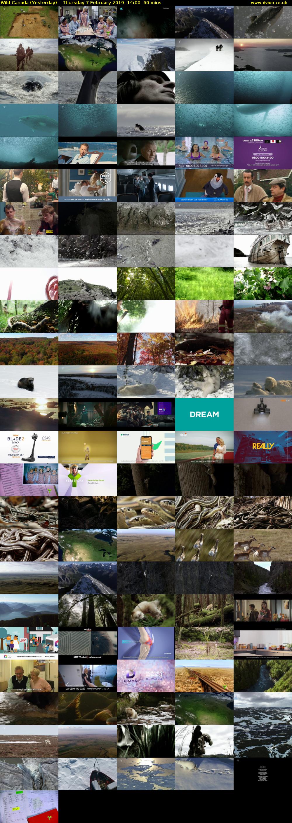 Wild Canada (Yesterday) Thursday 7 February 2019 14:00 - 15:00