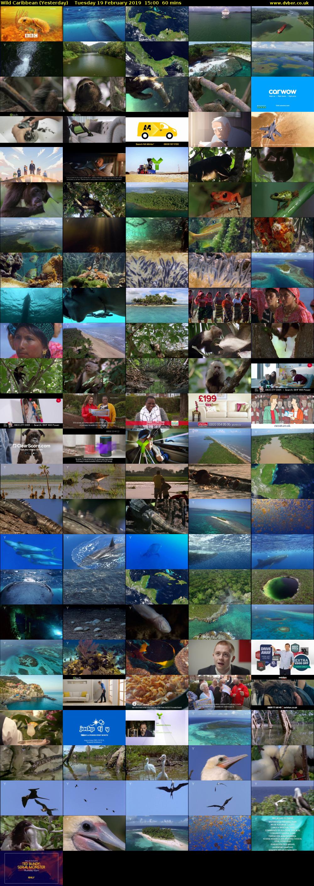 Wild Caribbean (Yesterday) Tuesday 19 February 2019 15:00 - 16:00