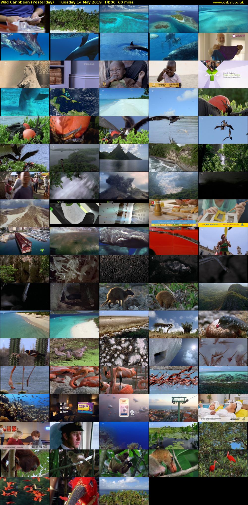 Wild Caribbean (Yesterday) Tuesday 14 May 2019 14:00 - 15:00