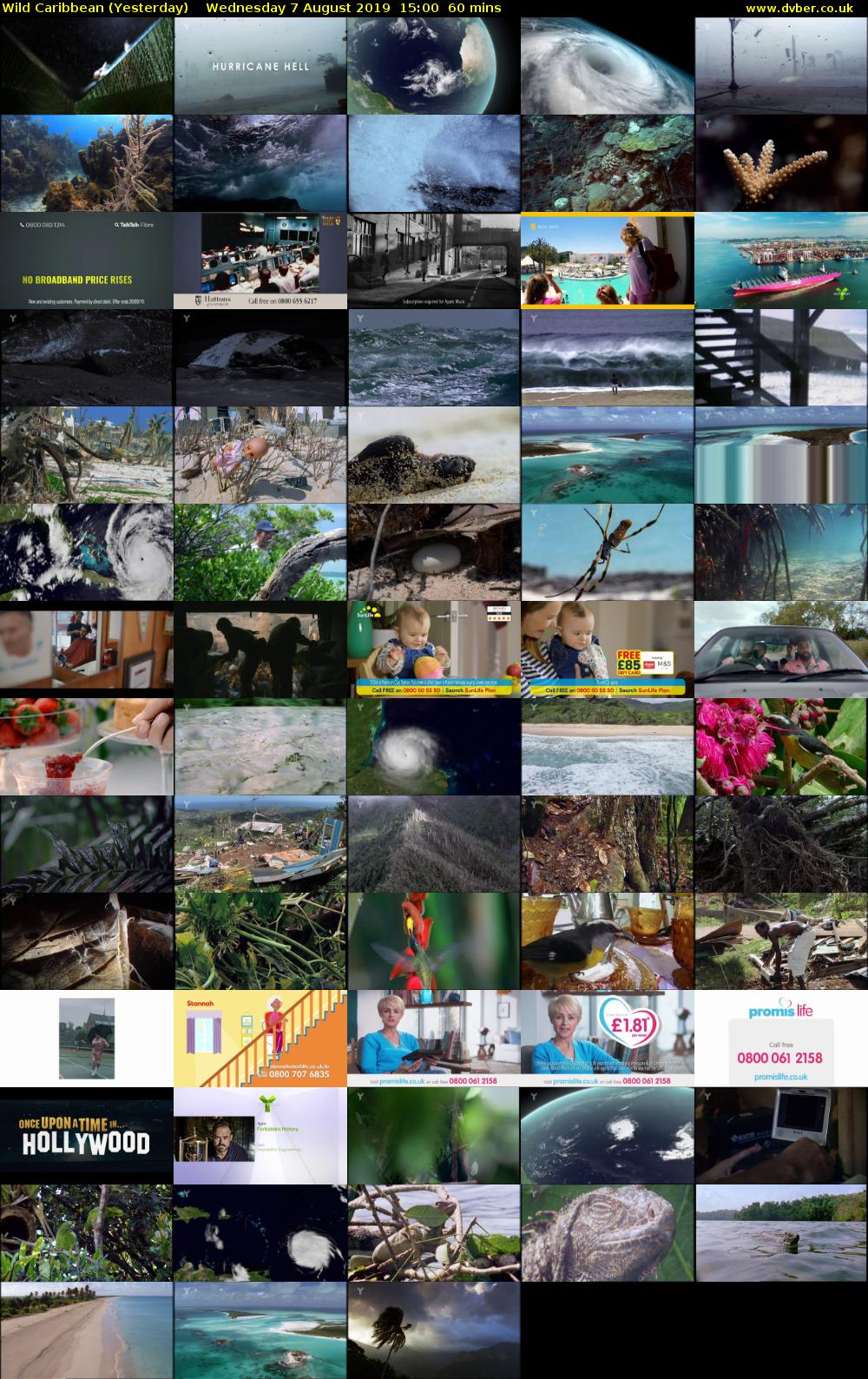 Wild Caribbean (Yesterday) Wednesday 7 August 2019 15:00 - 16:00