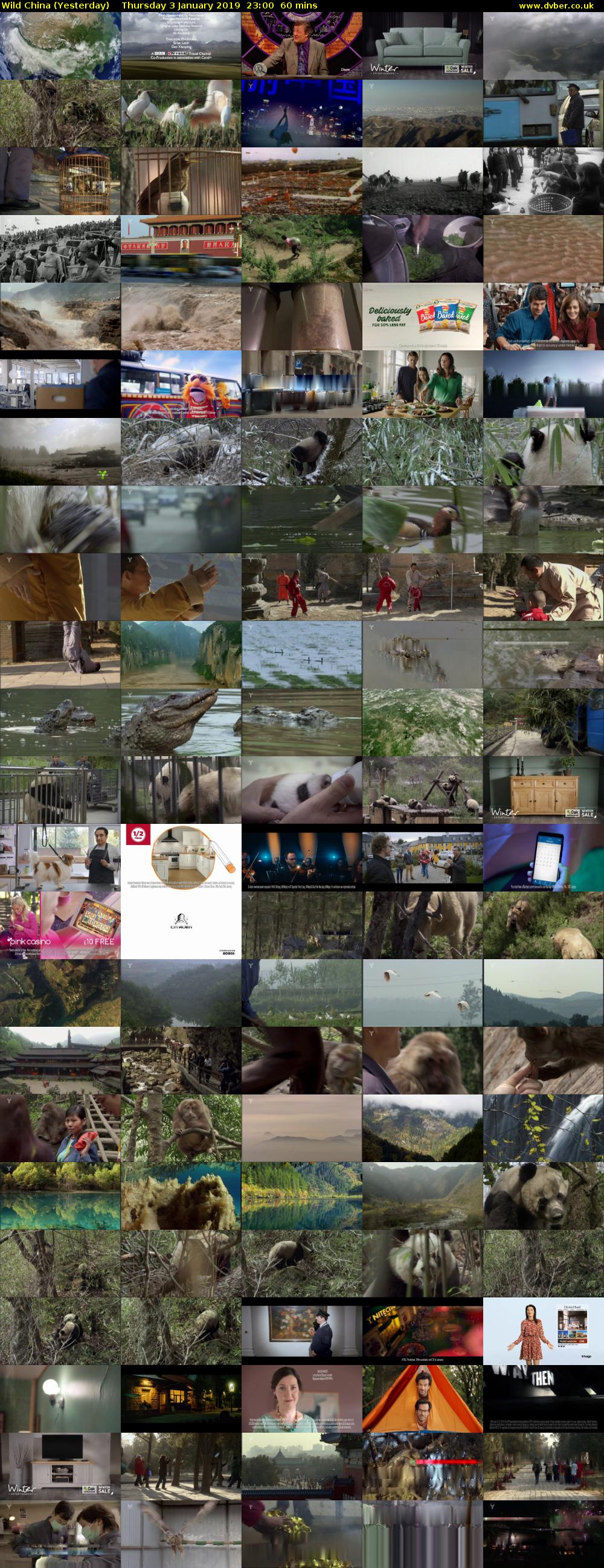 Wild China (Yesterday) Thursday 3 January 2019 23:00 - 00:00