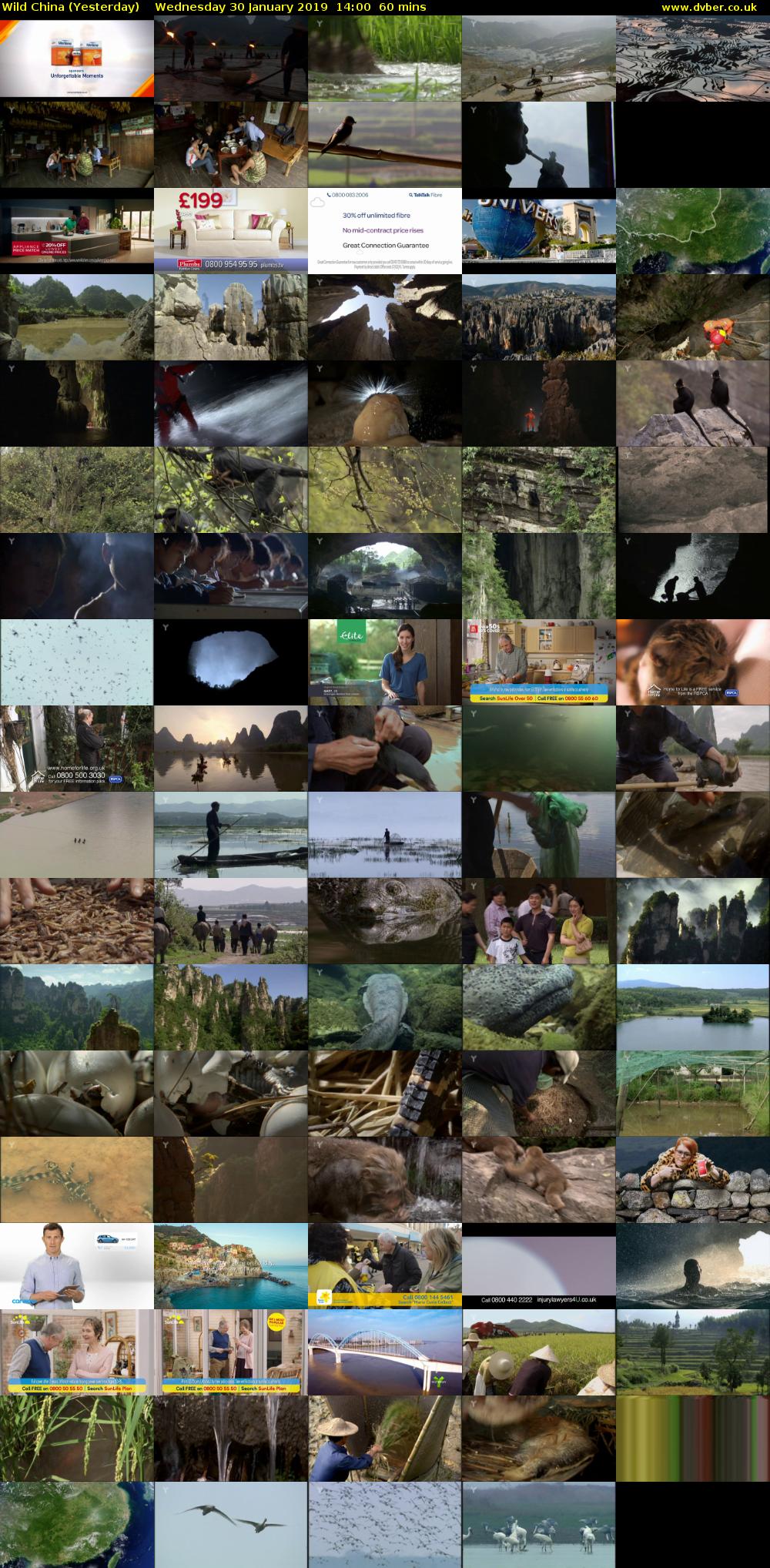 Wild China (Yesterday) Wednesday 30 January 2019 14:00 - 15:00