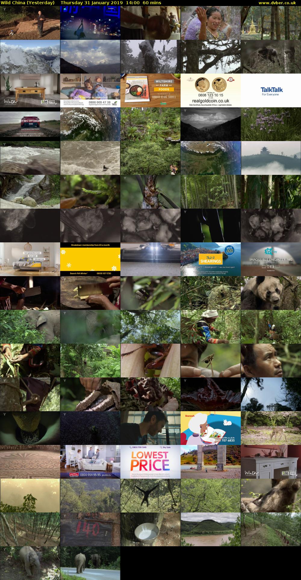 Wild China (Yesterday) Thursday 31 January 2019 14:00 - 15:00