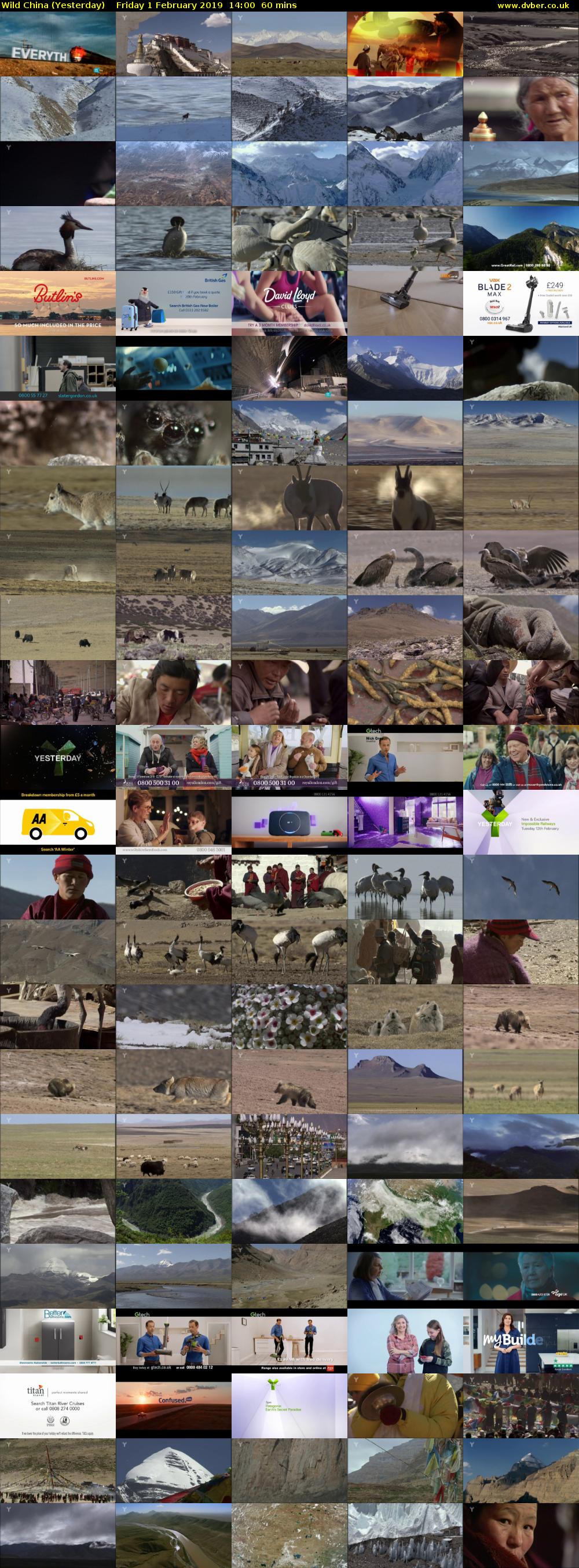 Wild China (Yesterday) Friday 1 February 2019 14:00 - 15:00