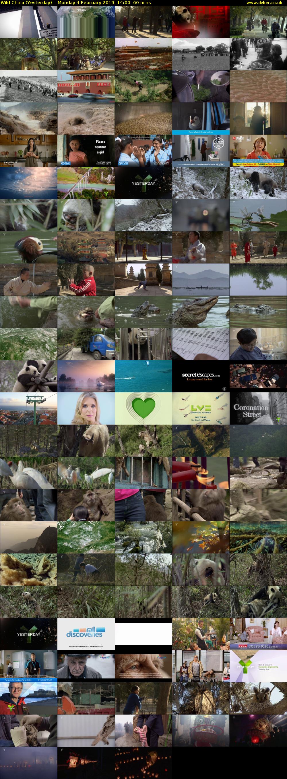 Wild China (Yesterday) Monday 4 February 2019 14:00 - 15:00