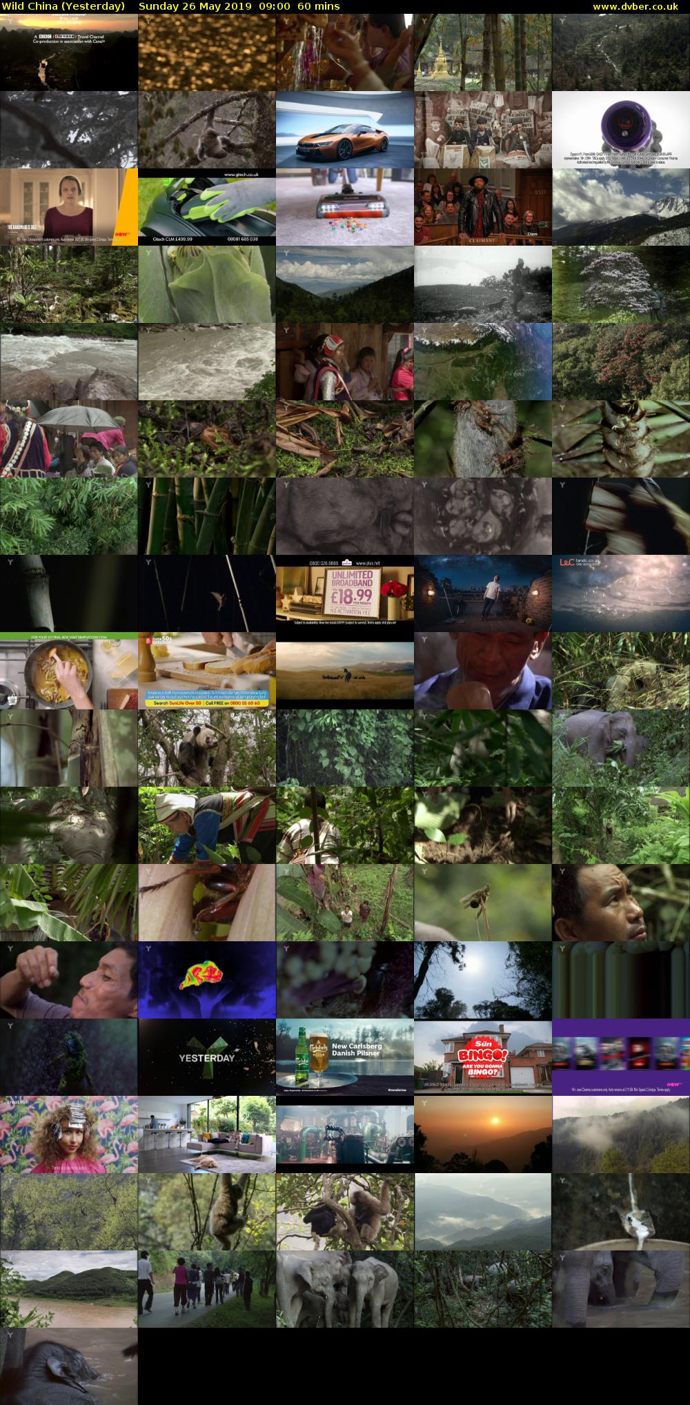 Wild China (Yesterday) Sunday 26 May 2019 09:00 - 10:00
