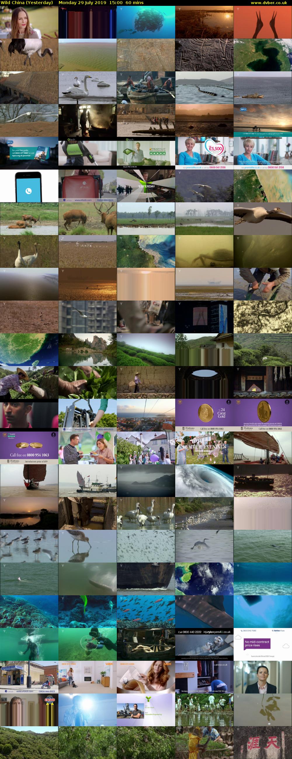 Wild China (Yesterday) Monday 29 July 2019 15:00 - 16:00