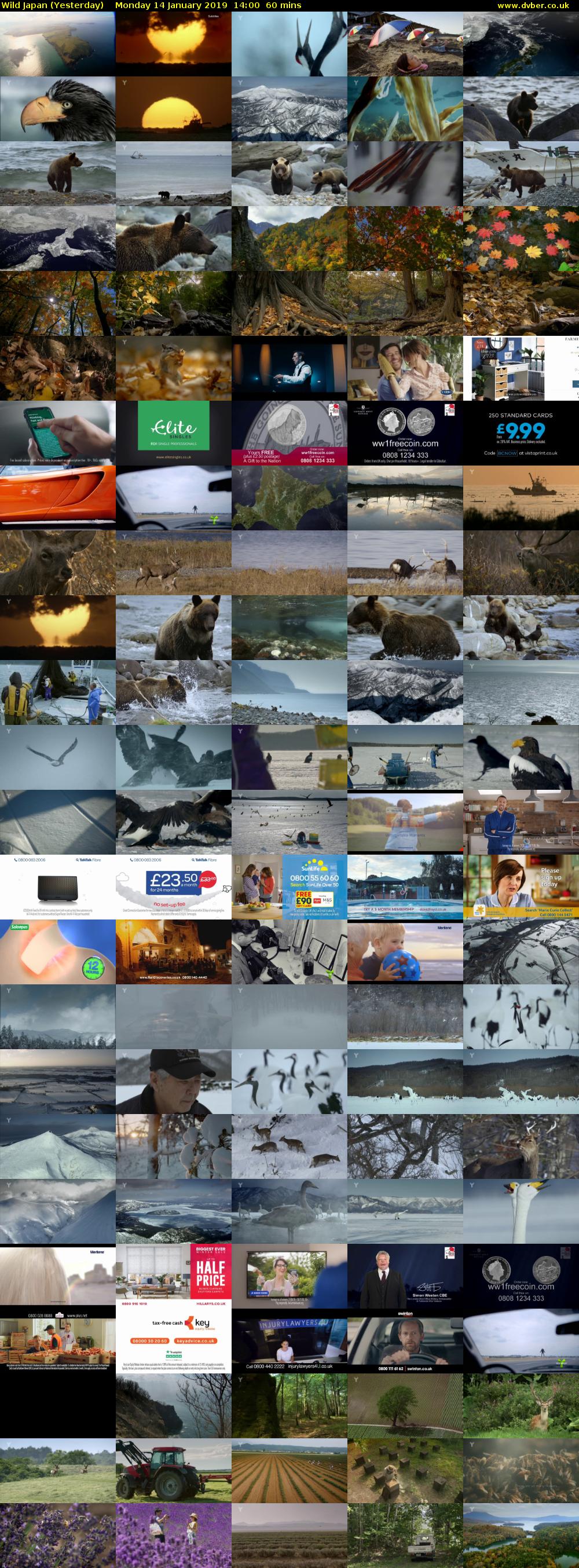 Wild Japan (Yesterday) Monday 14 January 2019 14:00 - 15:00