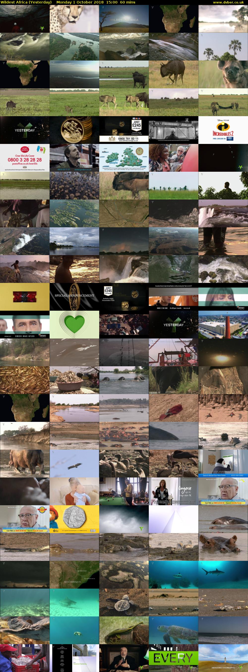 Wildest Africa (Yesterday) Monday 1 October 2018 15:00 - 16:00