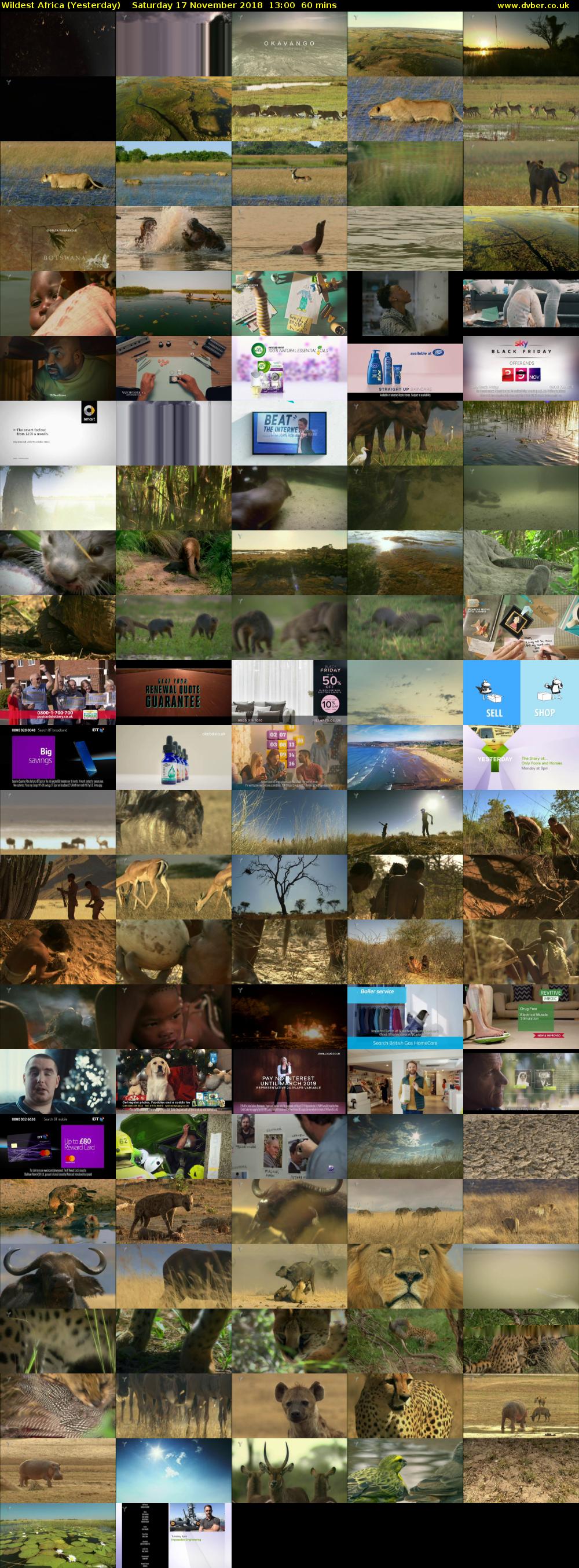 Wildest Africa (Yesterday) Saturday 17 November 2018 13:00 - 14:00