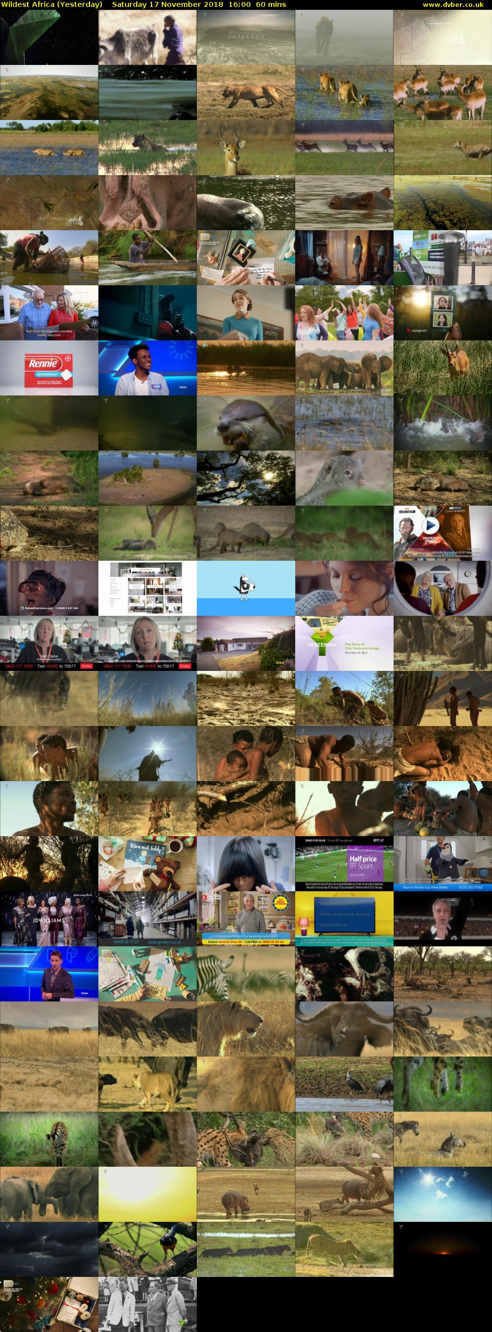 Wildest Africa (Yesterday) Saturday 17 November 2018 16:00 - 17:00