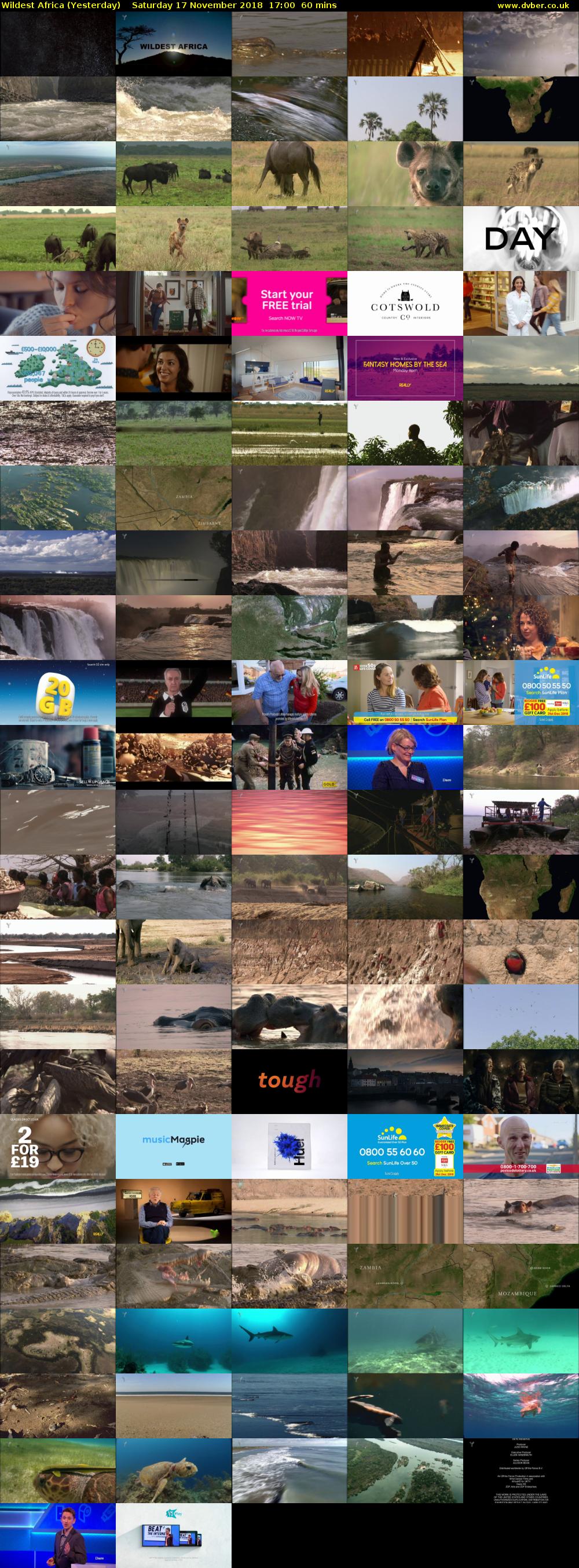 Wildest Africa (Yesterday) Saturday 17 November 2018 17:00 - 18:00