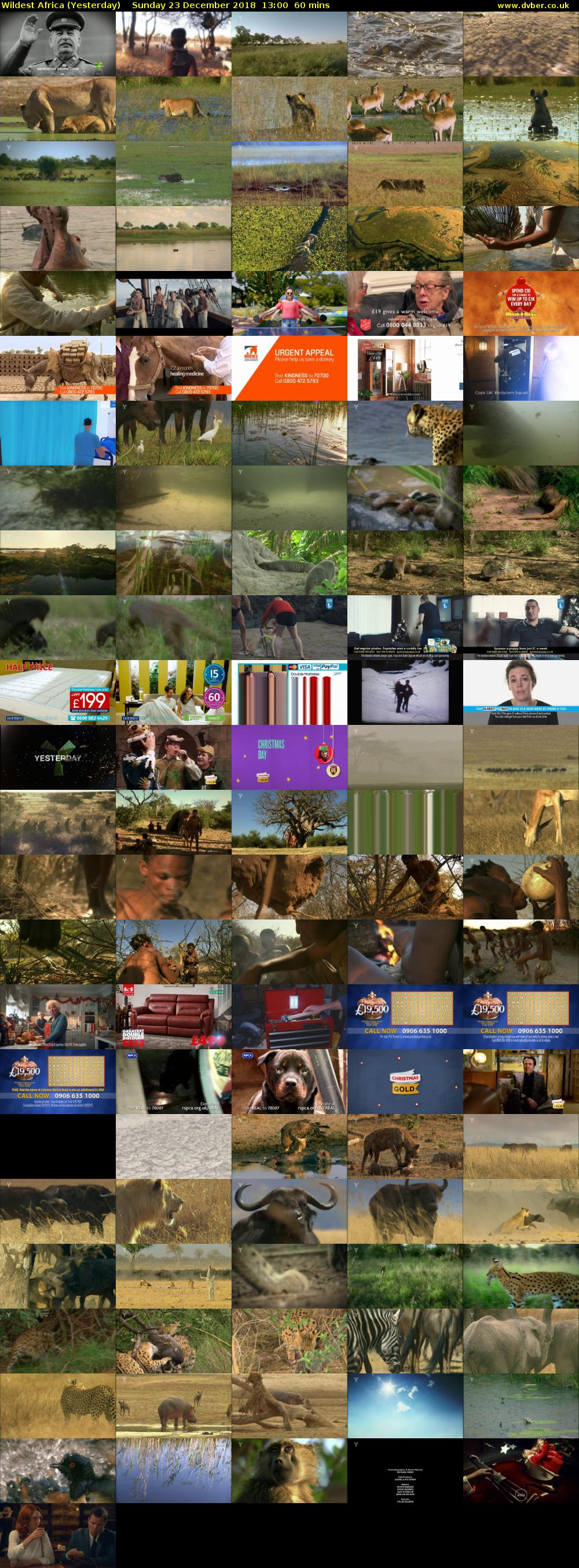 Wildest Africa (Yesterday) Sunday 23 December 2018 13:00 - 14:00