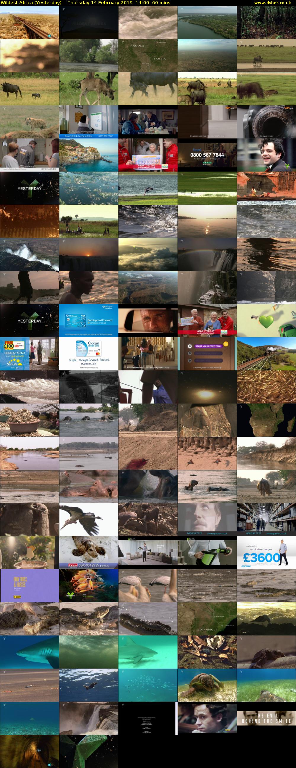 Wildest Africa (Yesterday) Thursday 14 February 2019 14:00 - 15:00