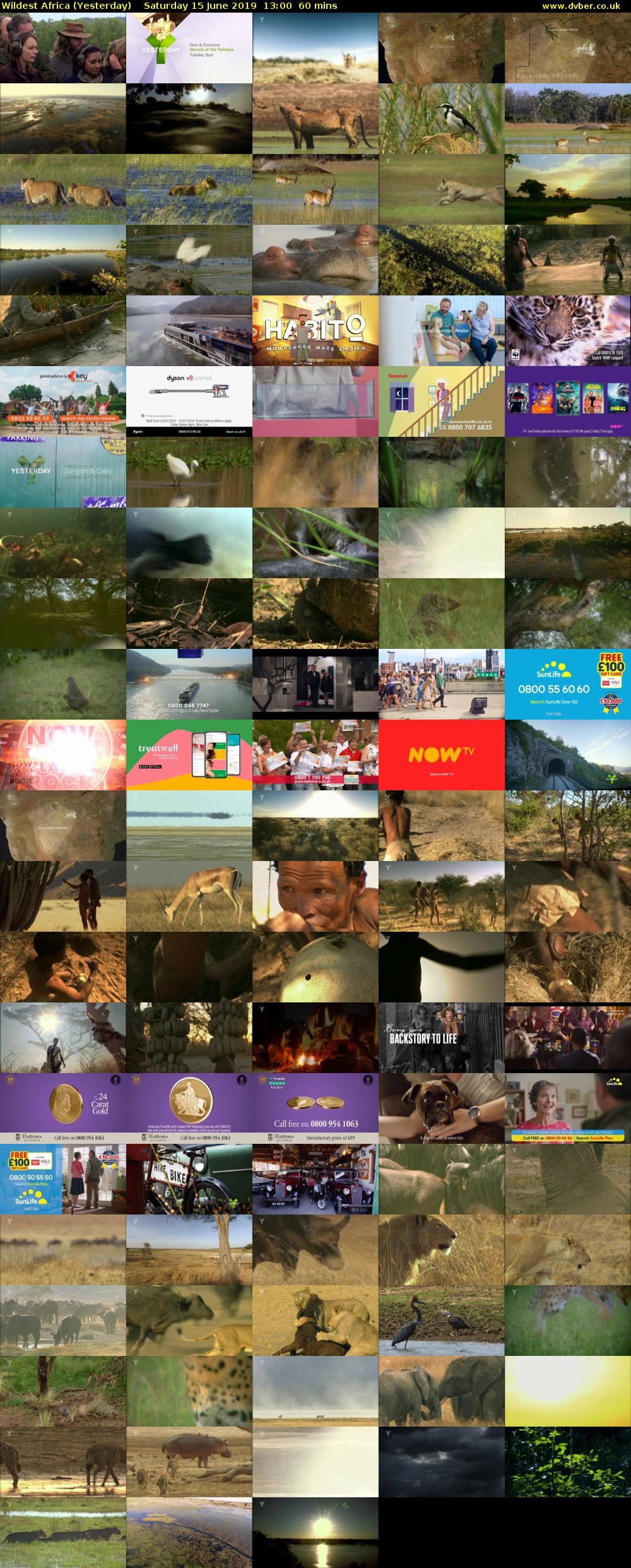 Wildest Africa (Yesterday) Saturday 15 June 2019 13:00 - 14:00