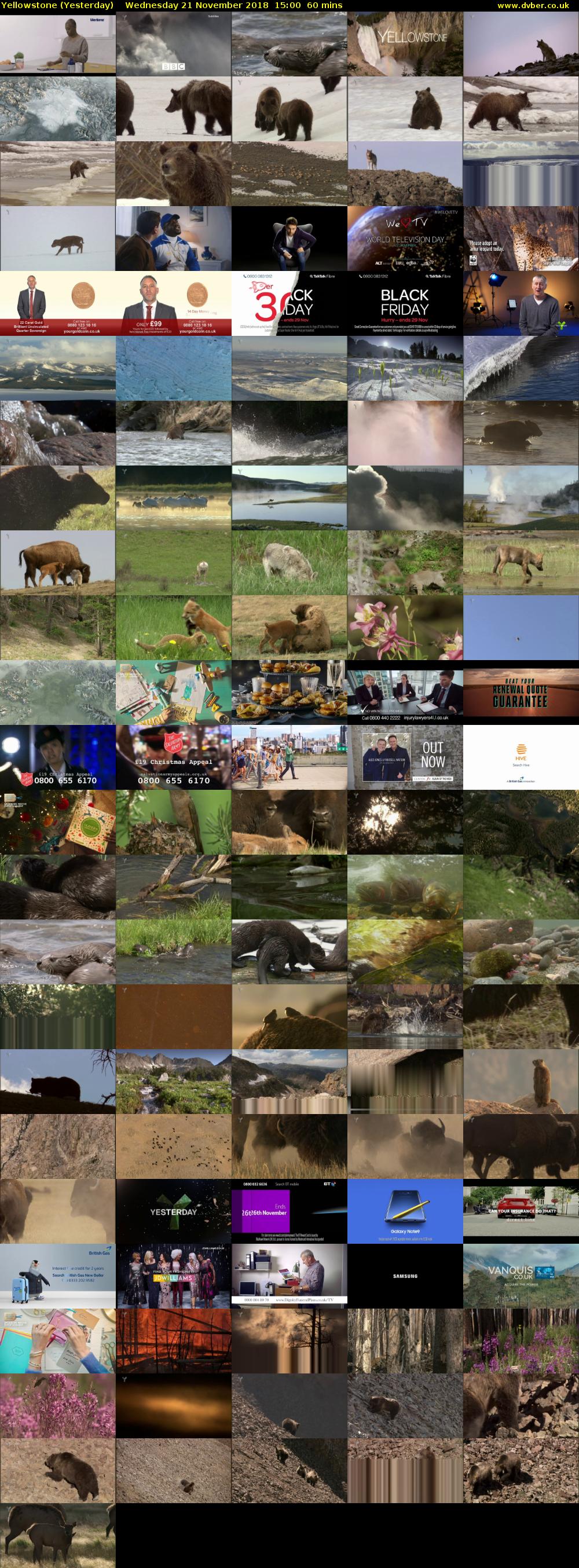 Yellowstone (Yesterday) Wednesday 21 November 2018 15:00 - 16:00