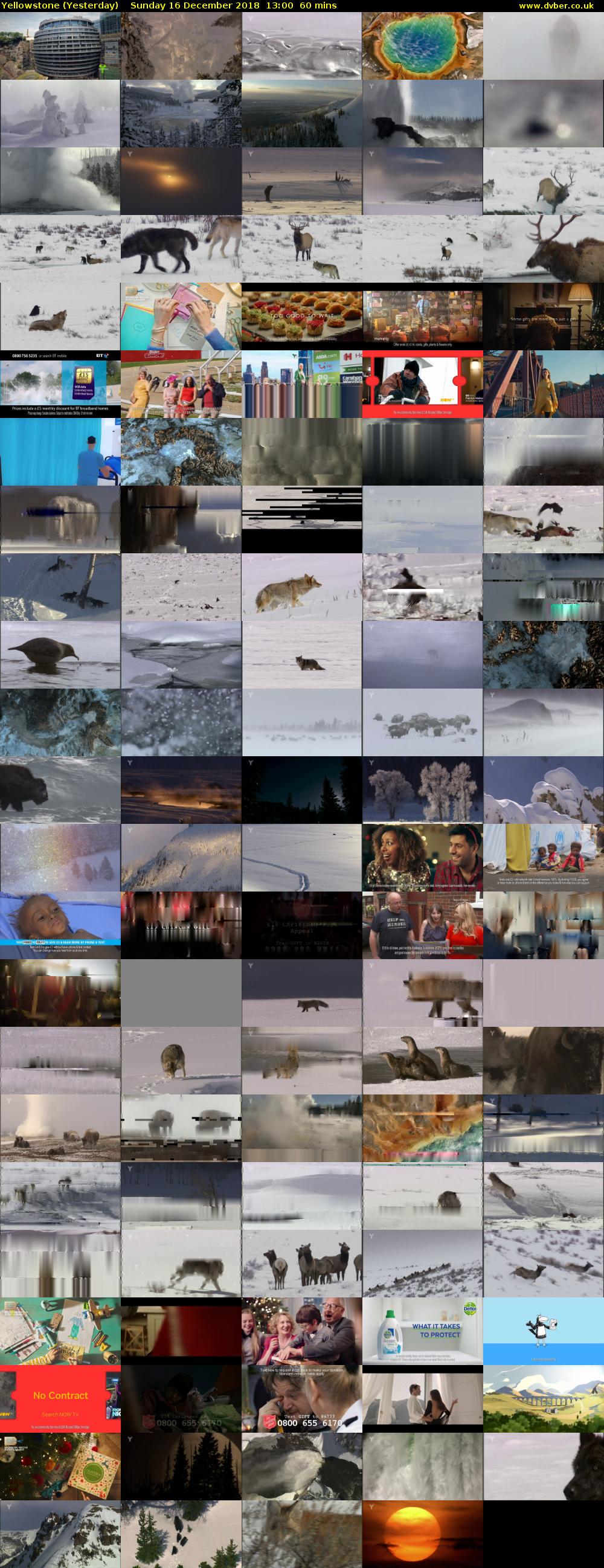 Yellowstone (Yesterday) Sunday 16 December 2018 13:00 - 14:00