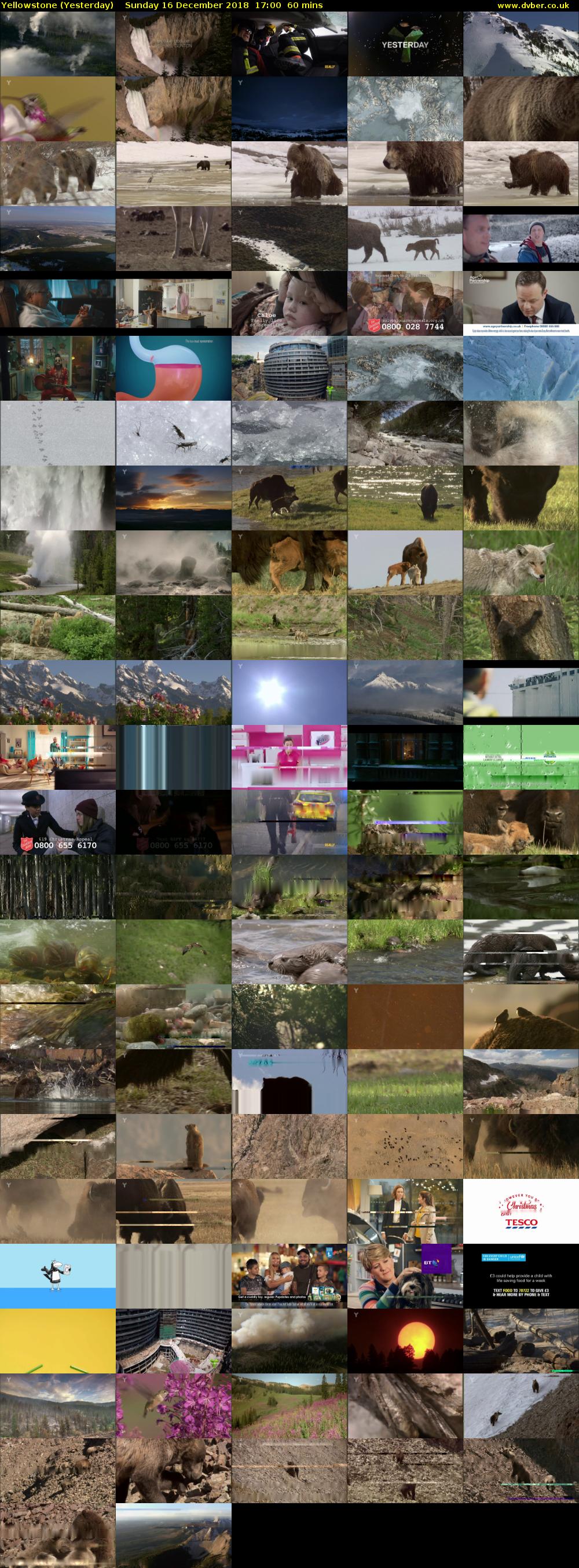 Yellowstone (Yesterday) Sunday 16 December 2018 17:00 - 18:00