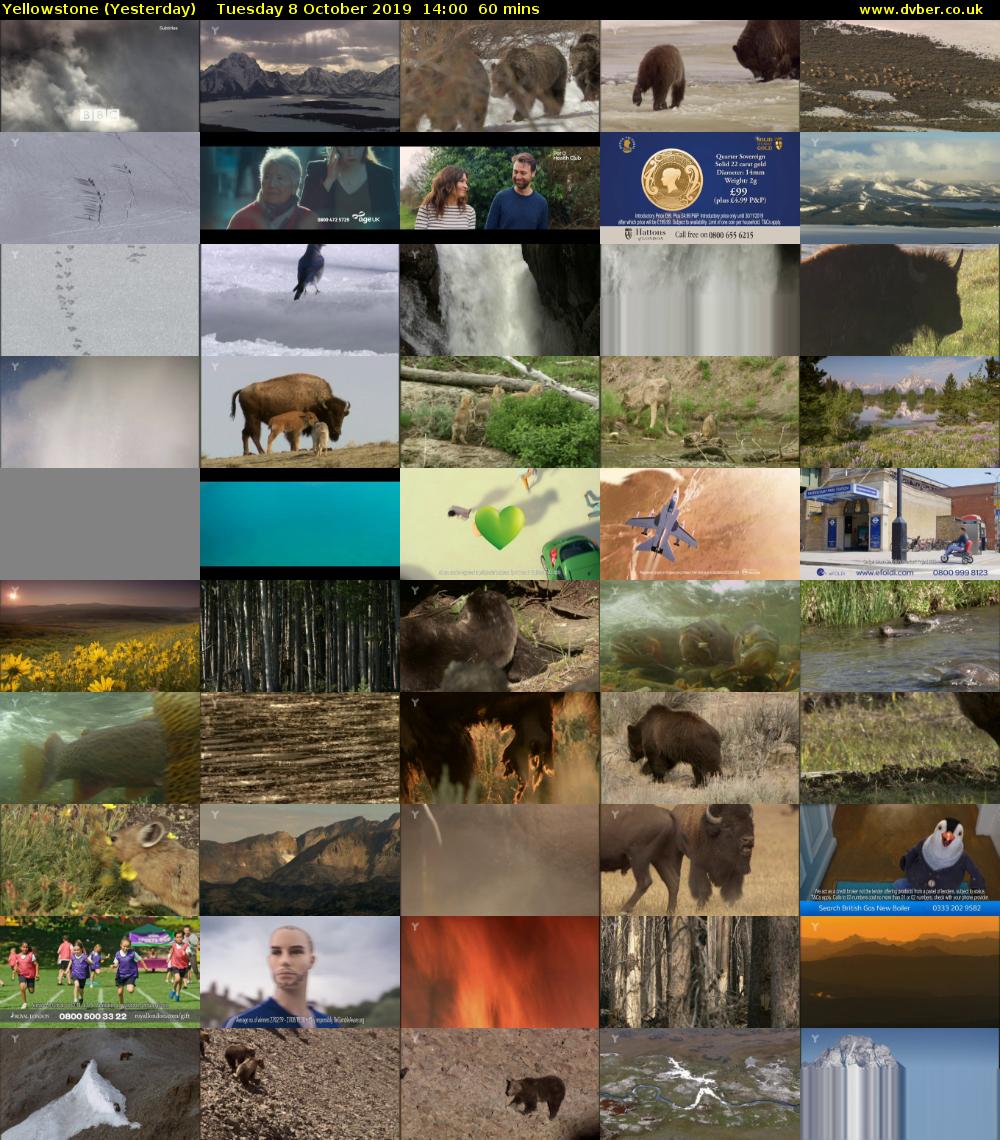 Yellowstone (Yesterday) Tuesday 8 October 2019 14:00 - 15:00