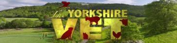 Programme banner for The Yorkshire Vet