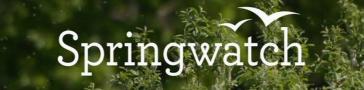 Programme banner for Springwatch: Escape into Spring
