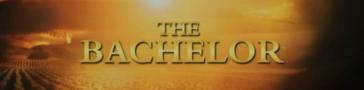 Programme banner for The Bachelor